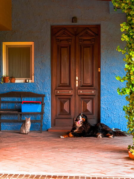 Chacra Bliss - Exterior