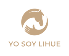 Logo Yo soy lihue