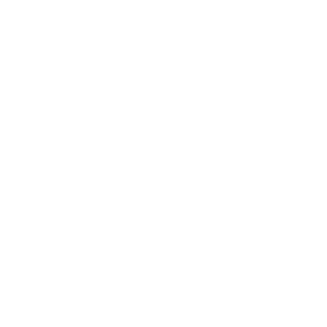 Bravía Kombucha