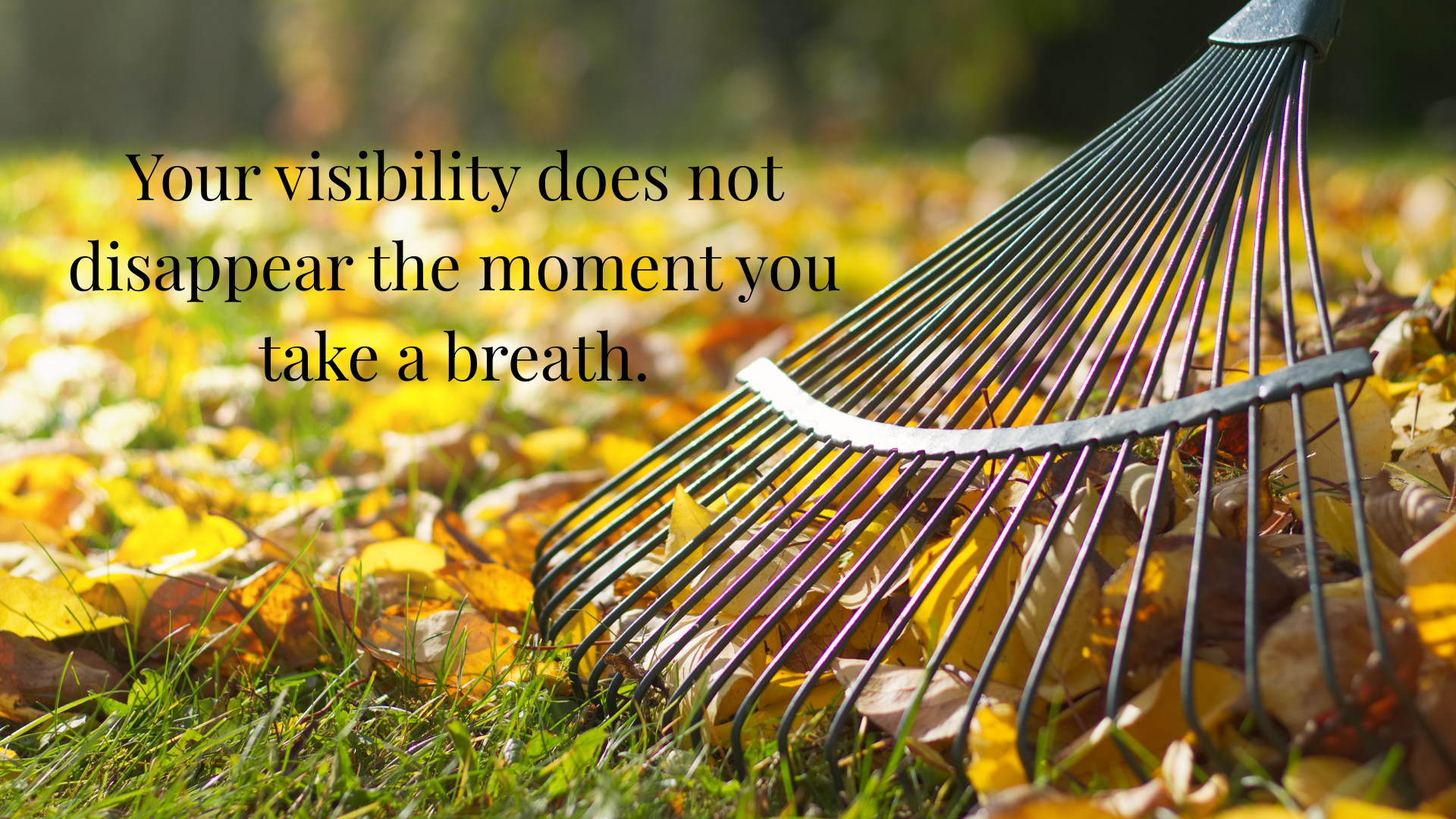 Is Social Media Worth It for Heart-Led Entrepreneurs