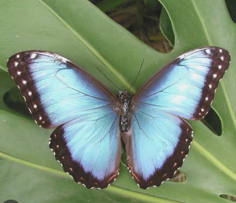 The Hard Truth About Forgiveness, Boundaries, and Self-Care