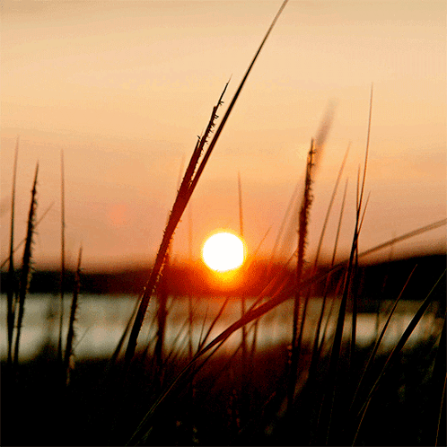 Spirit-Guided Channeling Sessions: Direct Wisdom from the Unseen World