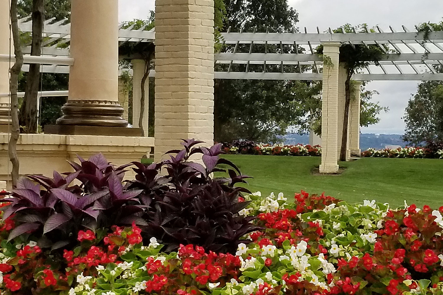 Red Vino Landscape | Managed Maintenance