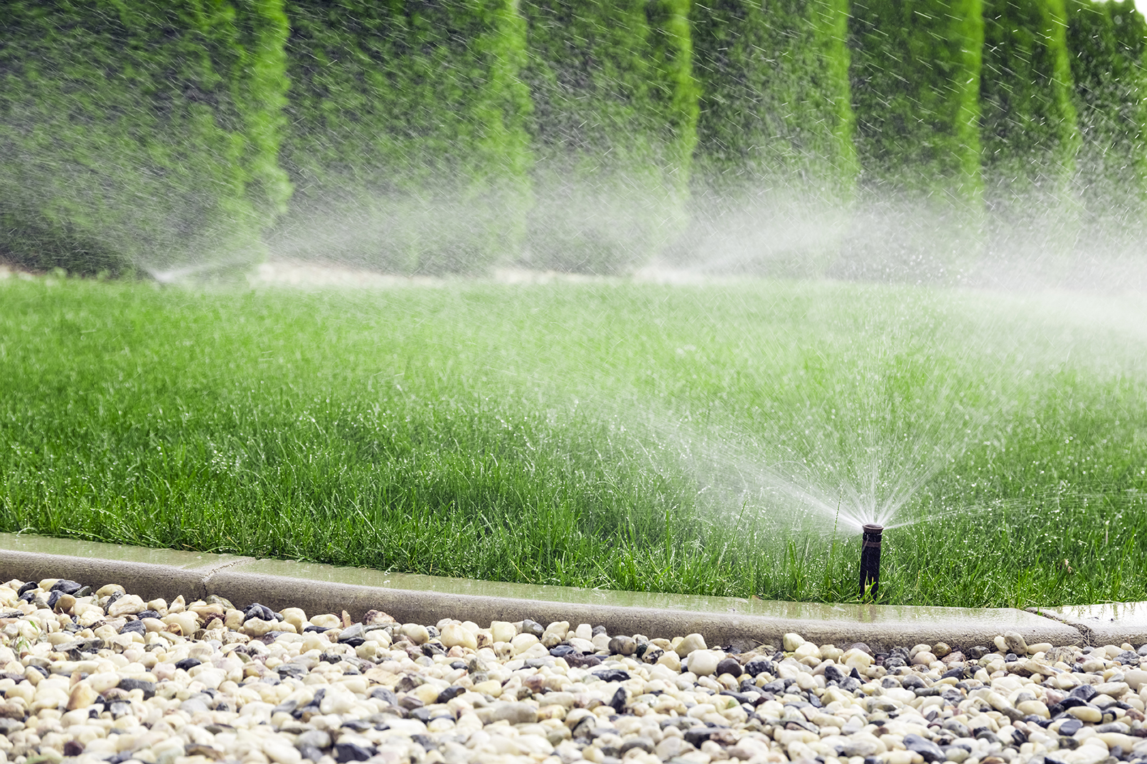 Red Vino Landscape | Water Management