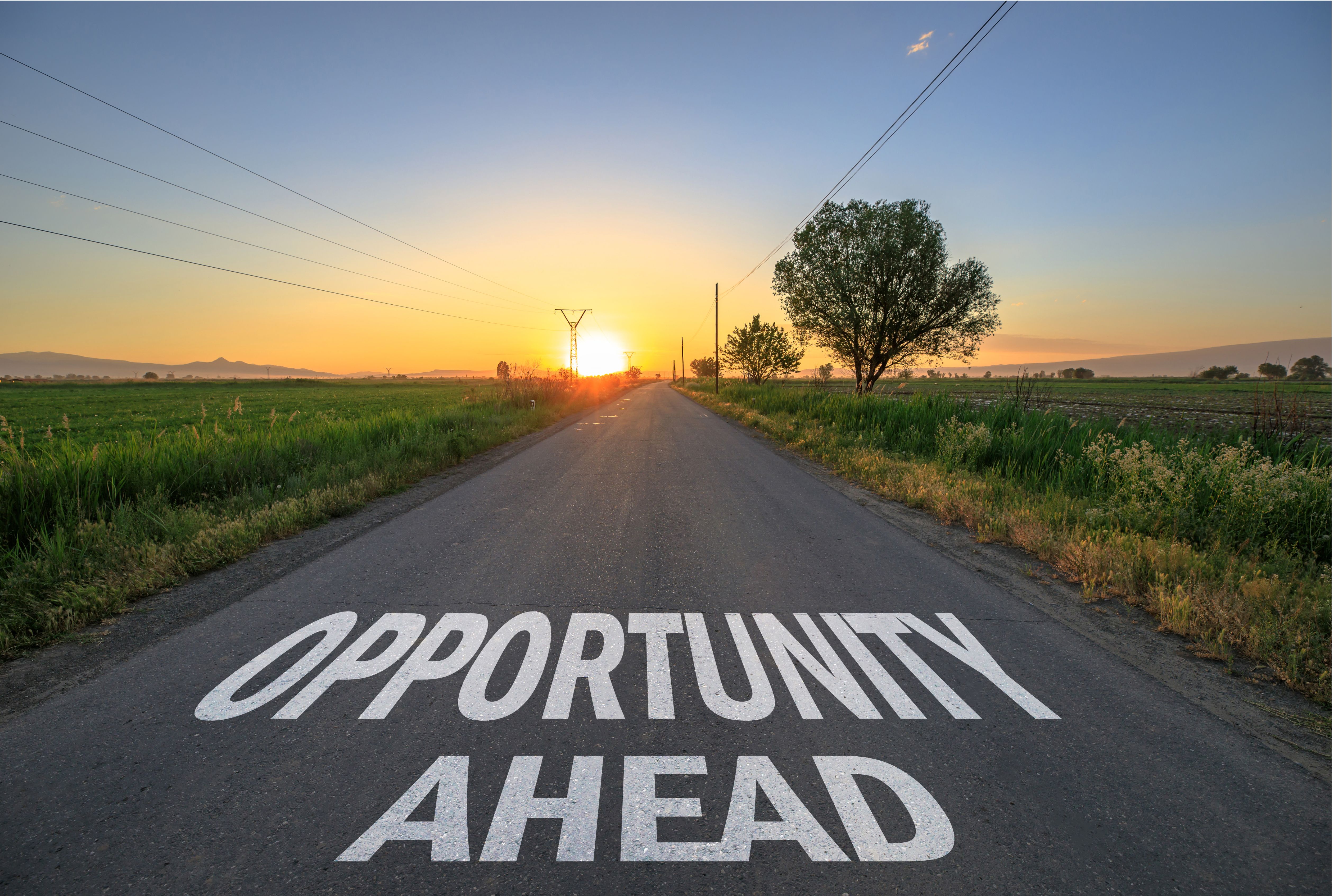 Nytt år, nye muligheter!