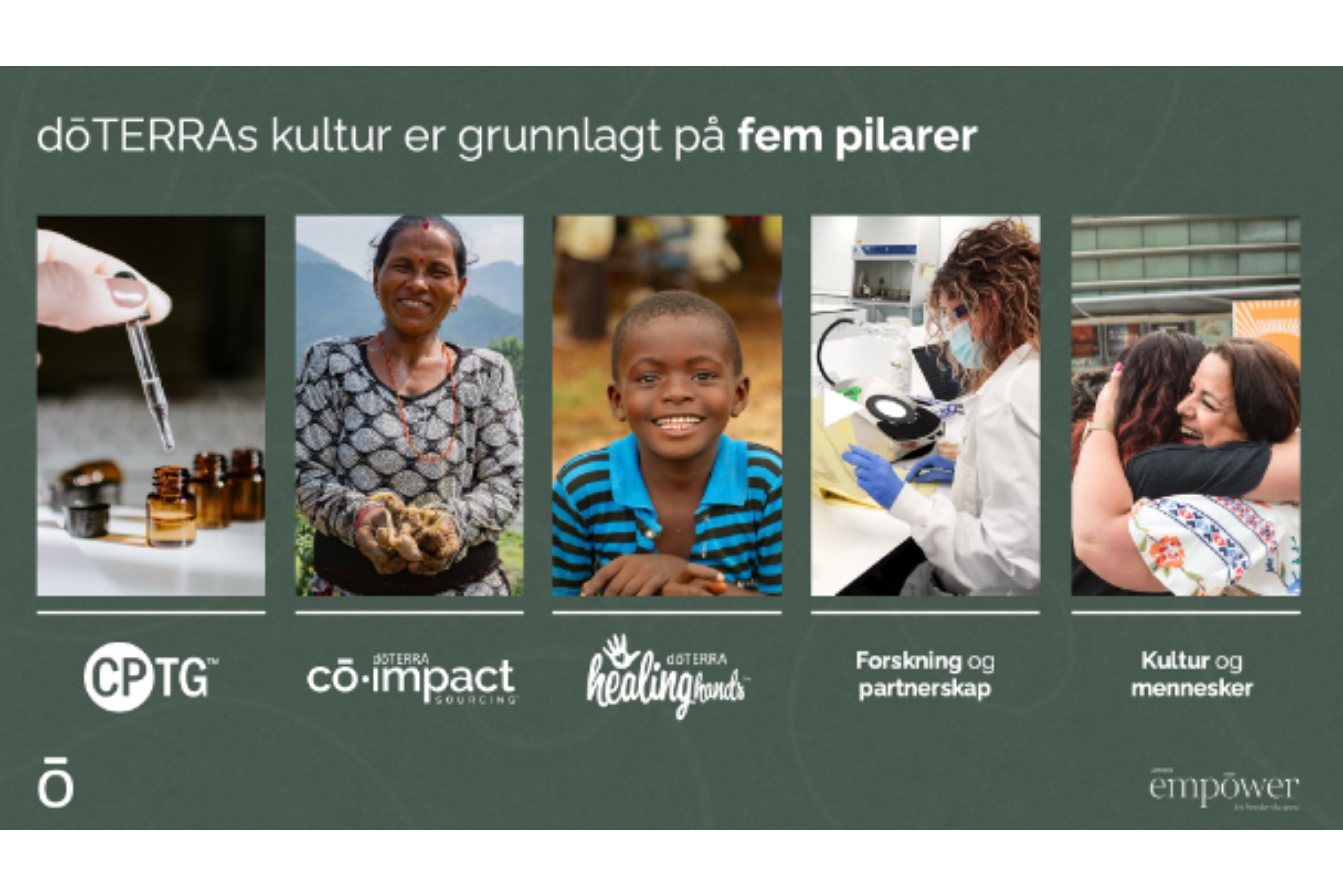 doTerras fem grunnpilarer