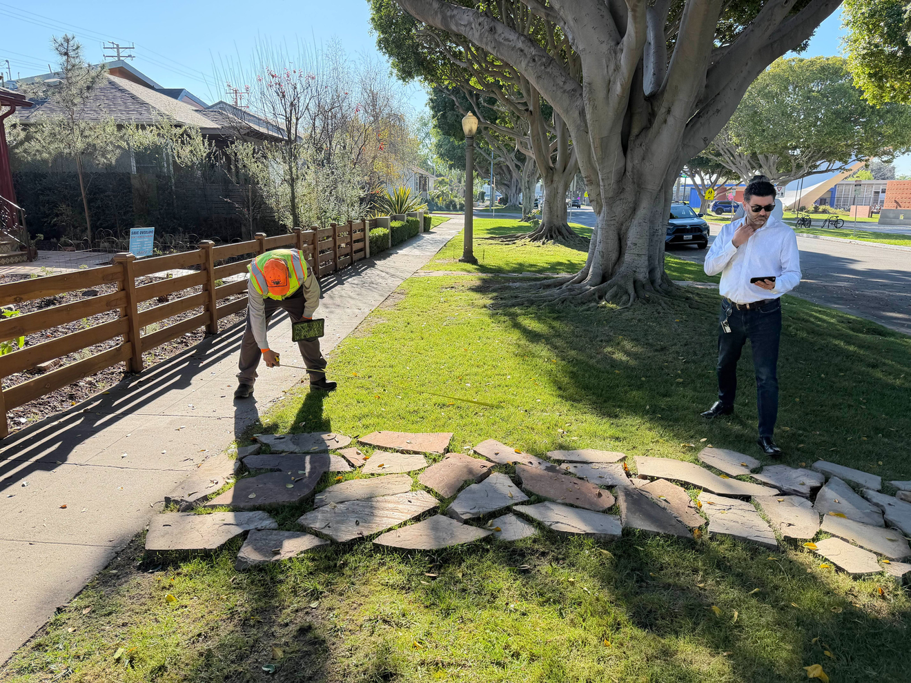 City still exploring tree removal on Elenda Street