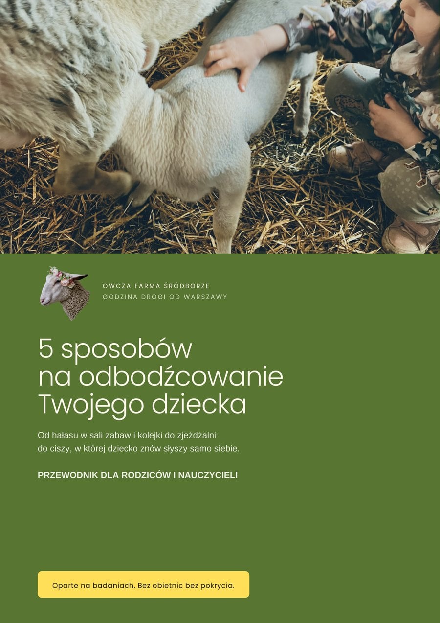 Okładka ebooka