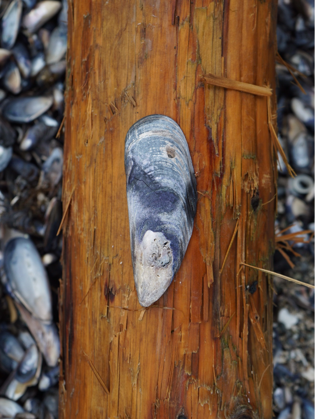 meaningful-connections