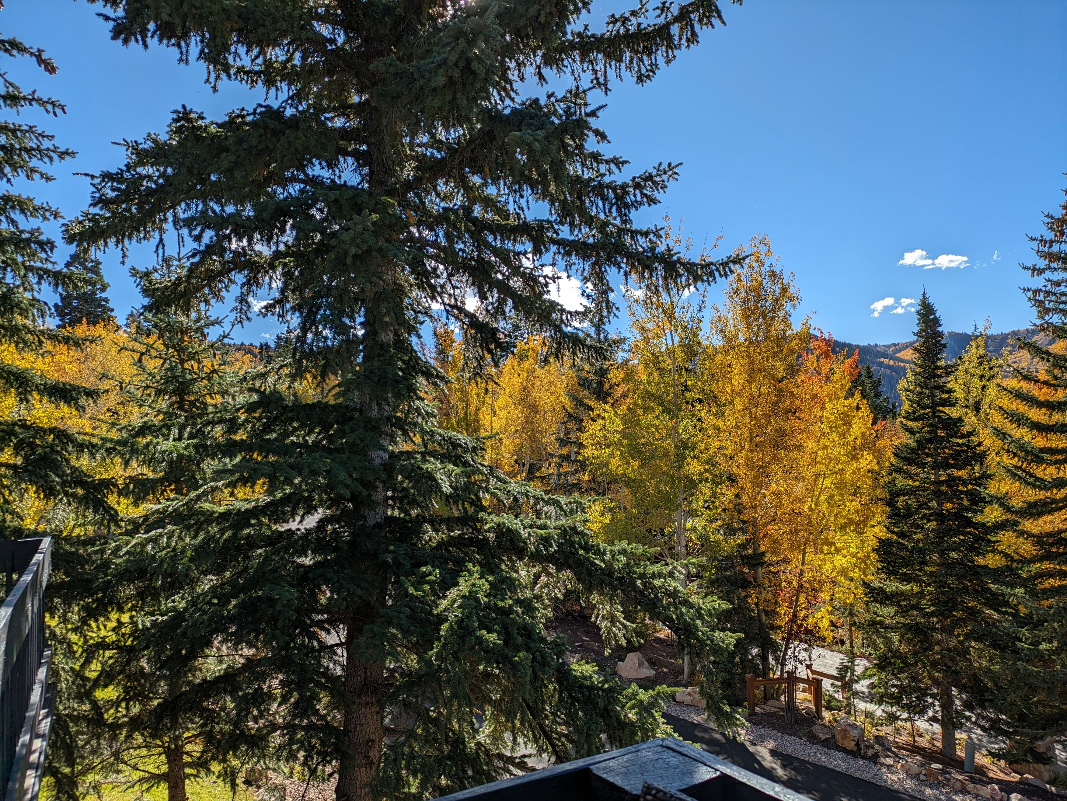 meaningful-connections