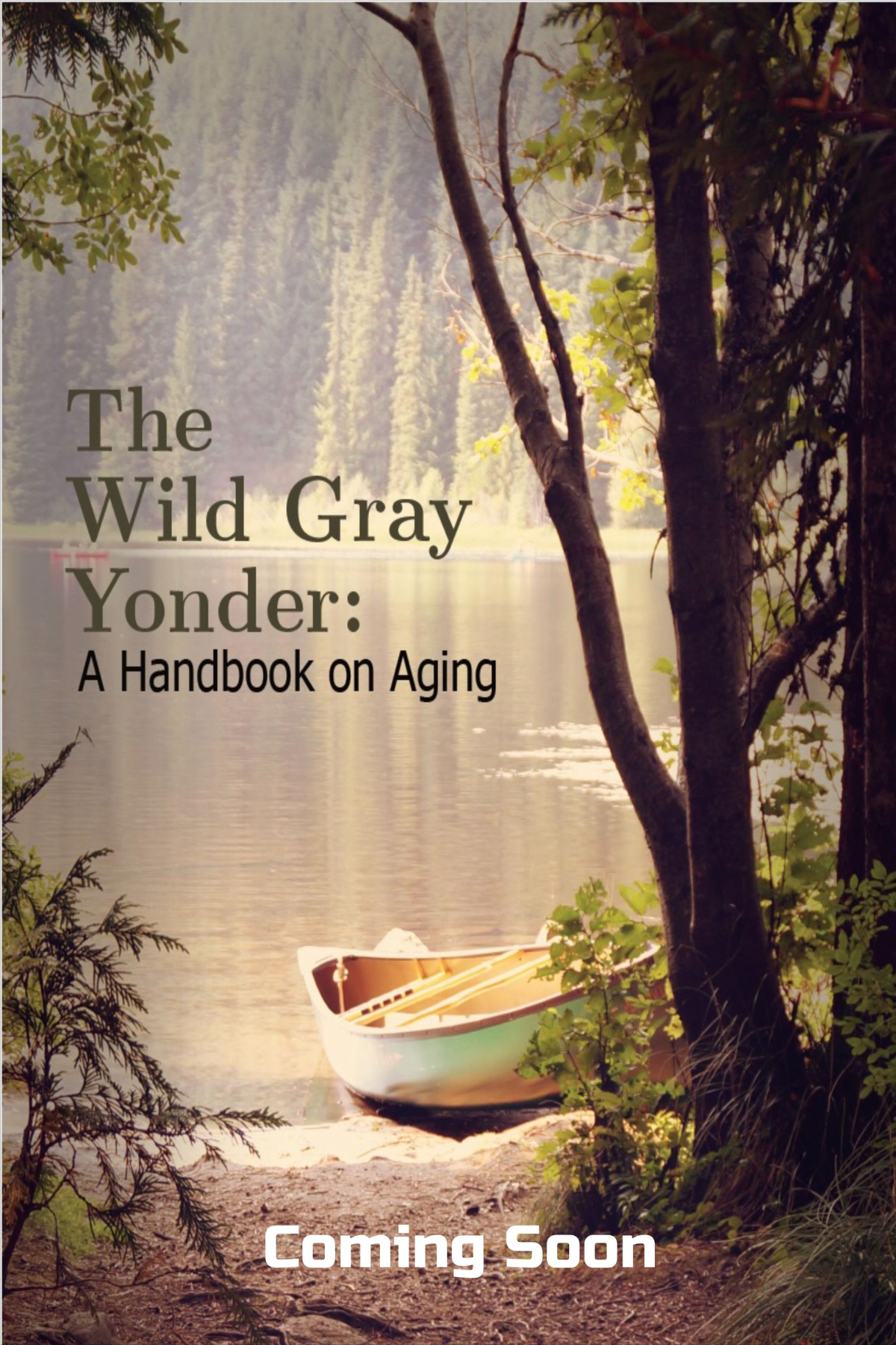 Gemini said A serene book cover or promotional image featuring a calm lake at dawn or dusk, framed by tall, slender trees and lush foliage in the foreground. A small white rowboat with wooden oars is pulled up onto the pebbled shore. The title, 