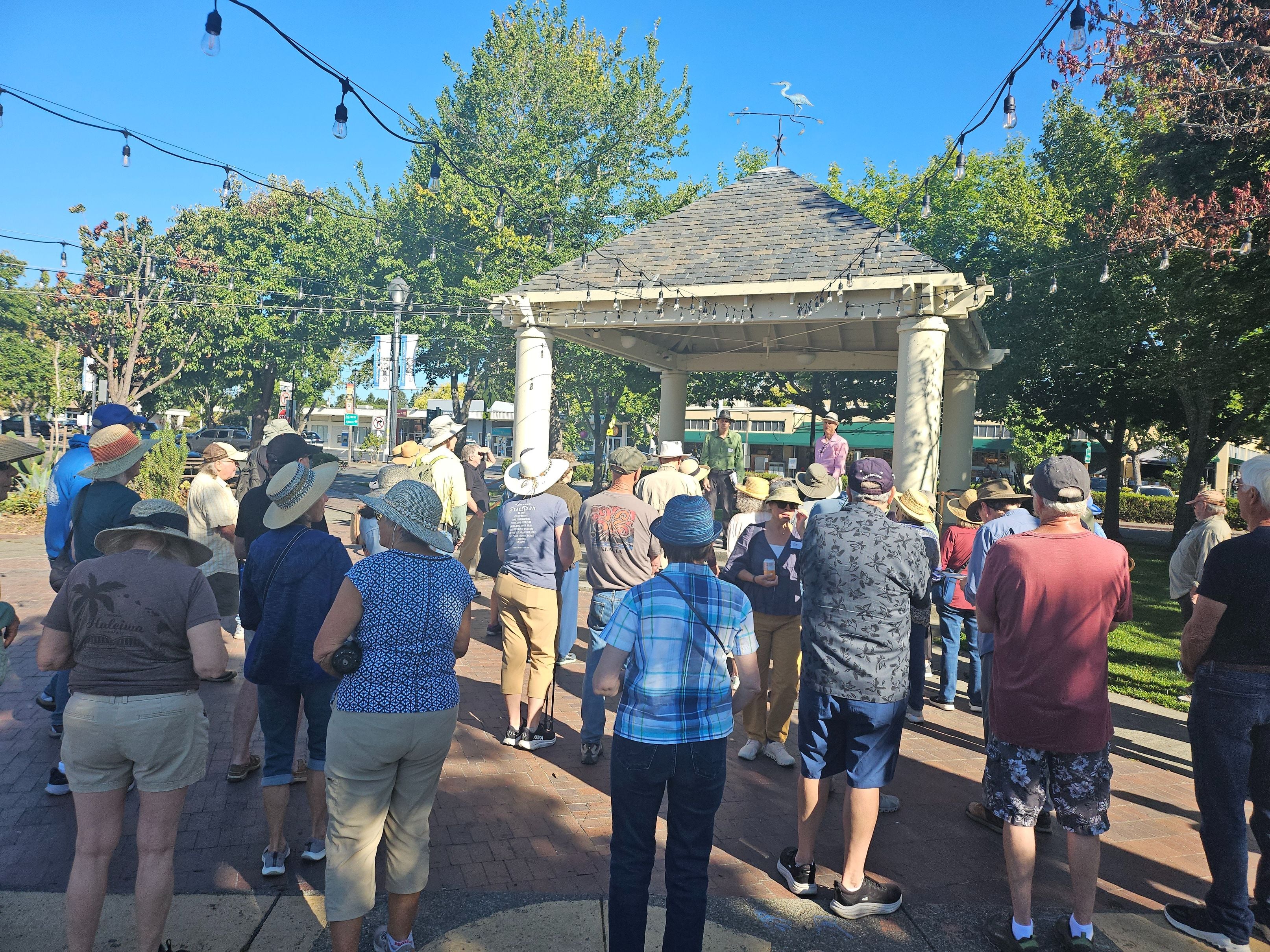 Walkers gathered at the gazebo in Sebastopol's downtown Plaza at the start of a walk.