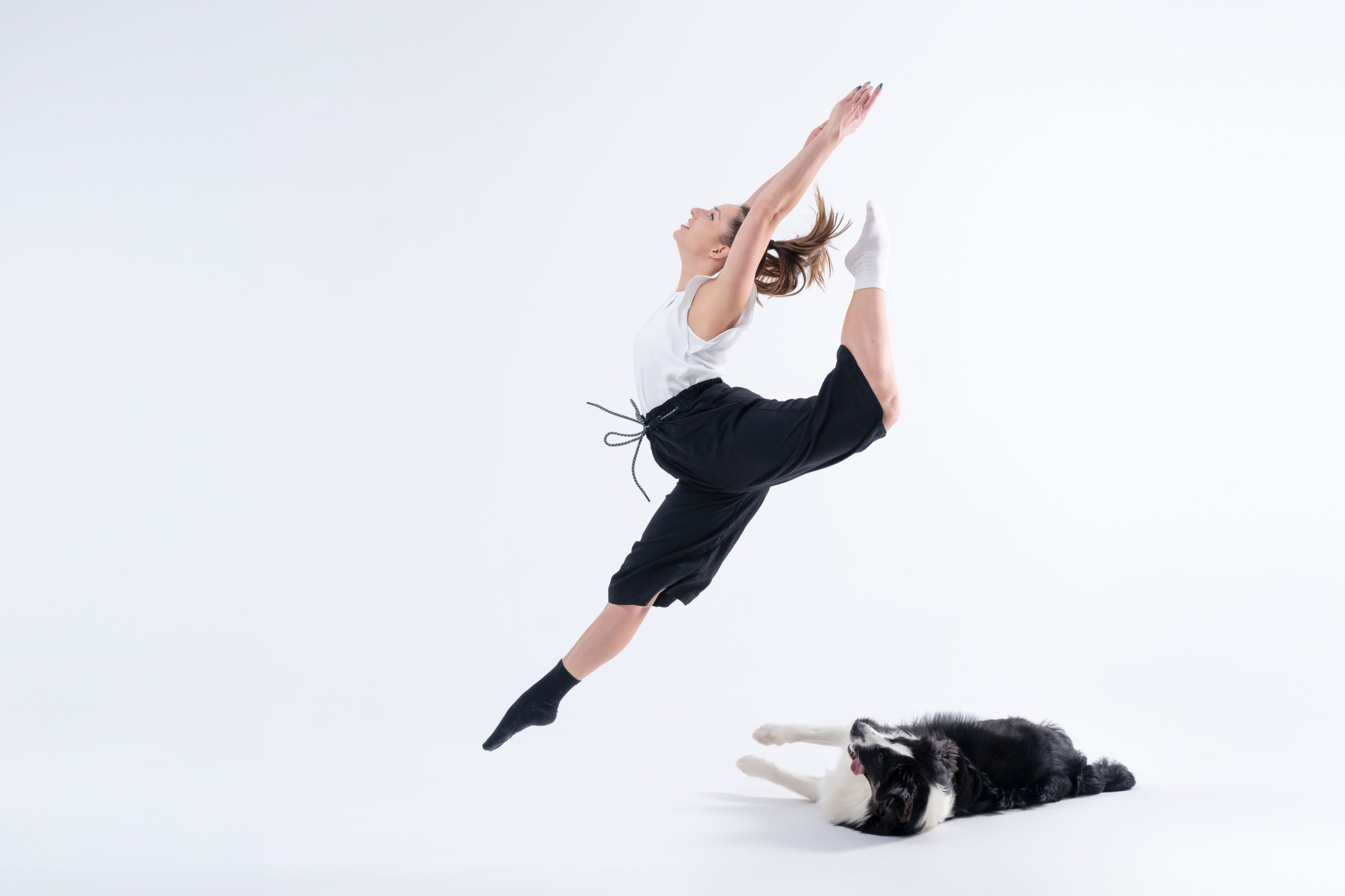 tancerka w wysokim skoku z wygięciem, obok pies border collie – fotografia tańca i psów w studio