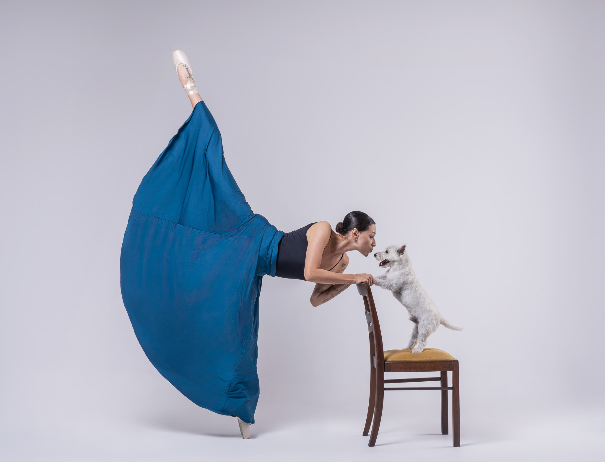 baletnica w pozie z uniesioną nogą pochyla się do psa stojącego na krześle – artystyczna fotografia tańca i psów w studio