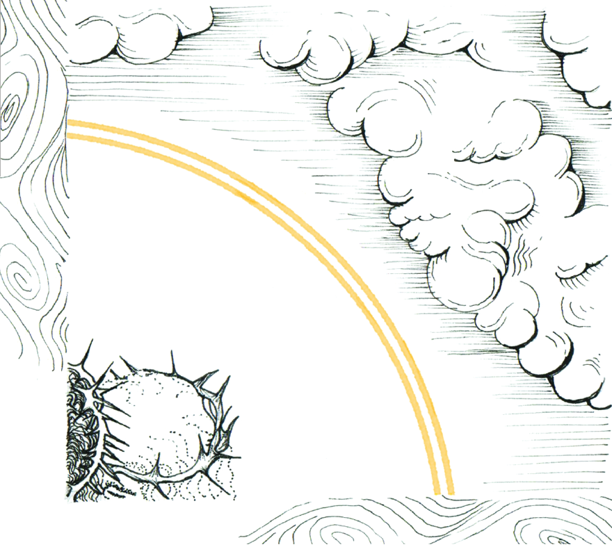 Close up Image of God Is For Us line drawing artwork