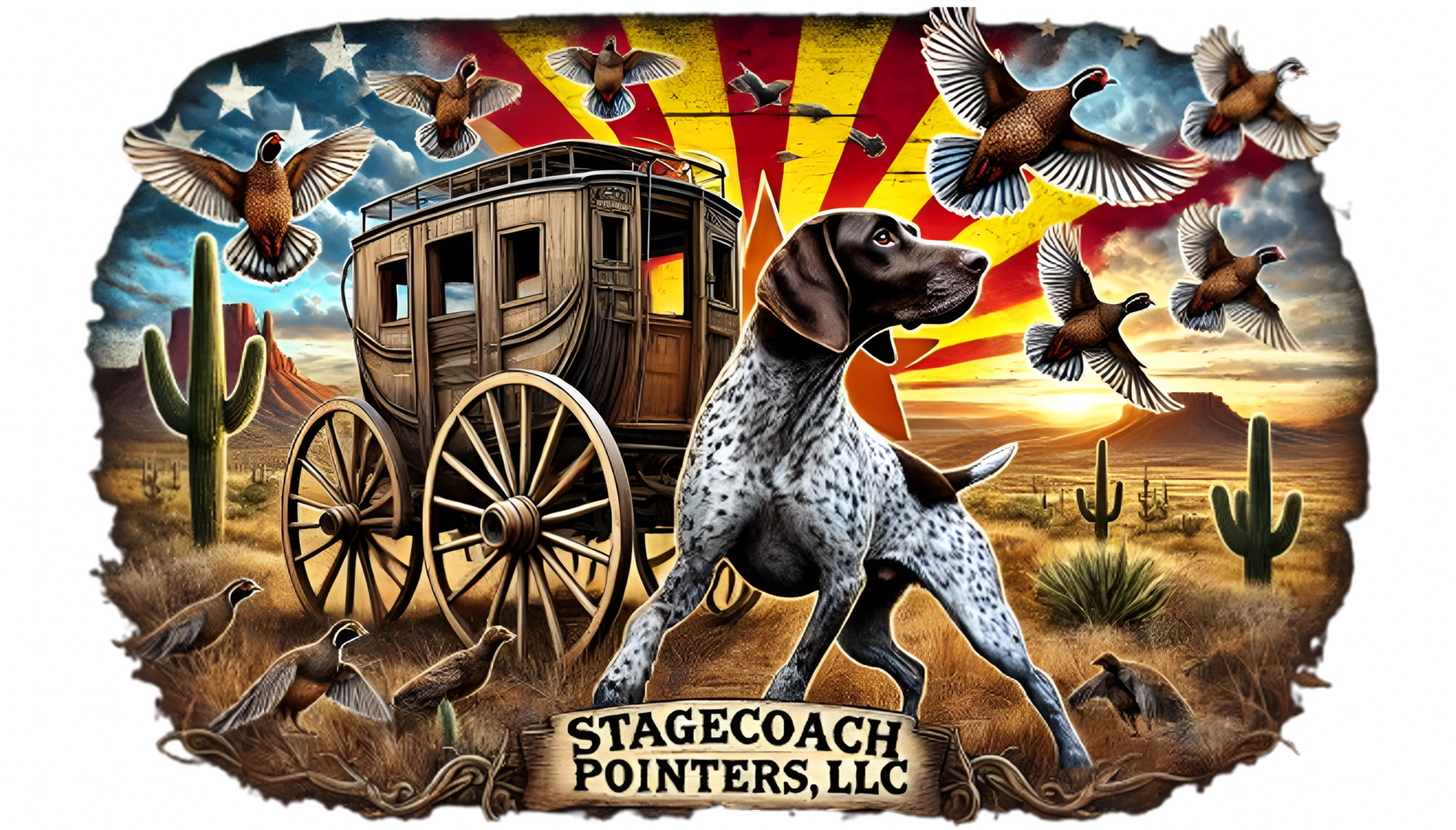 Stagecoach Pointers, LLC