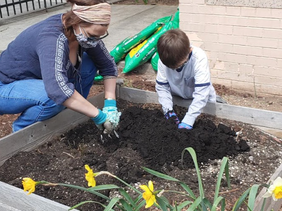 Students work in our garden with teachers and parent volunteers.