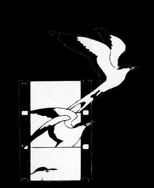 Southwood Holographics