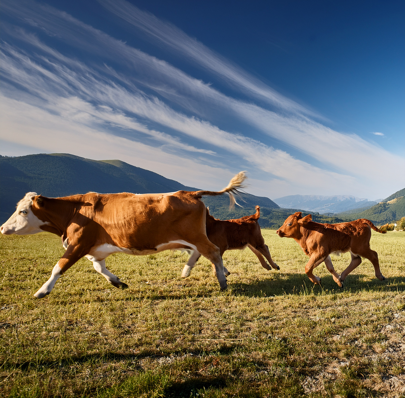 Don't Let Fear Steer Your Ride: Breaking Free from People-Pleasing