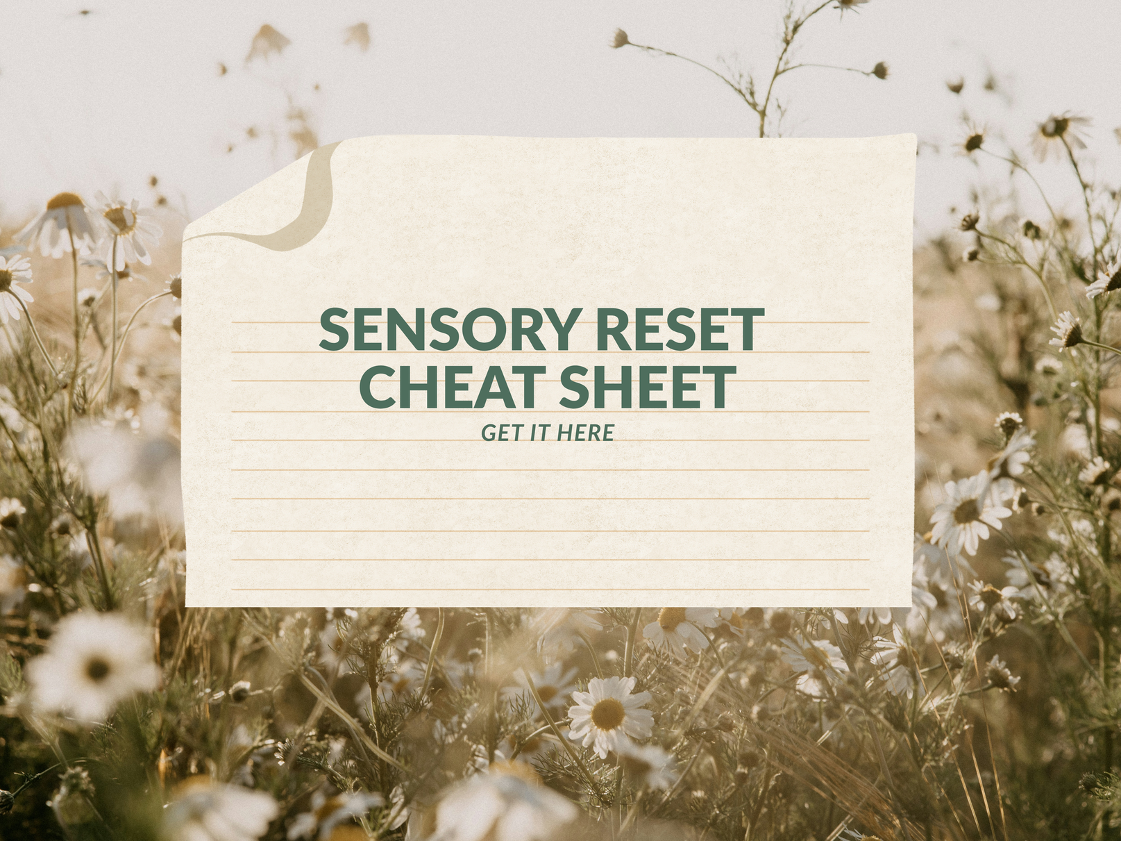Sensory reset cheat sheet - Perinatal Coach and counsellor Tania Fragoso