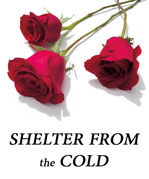 Shelter from the Cold Novella