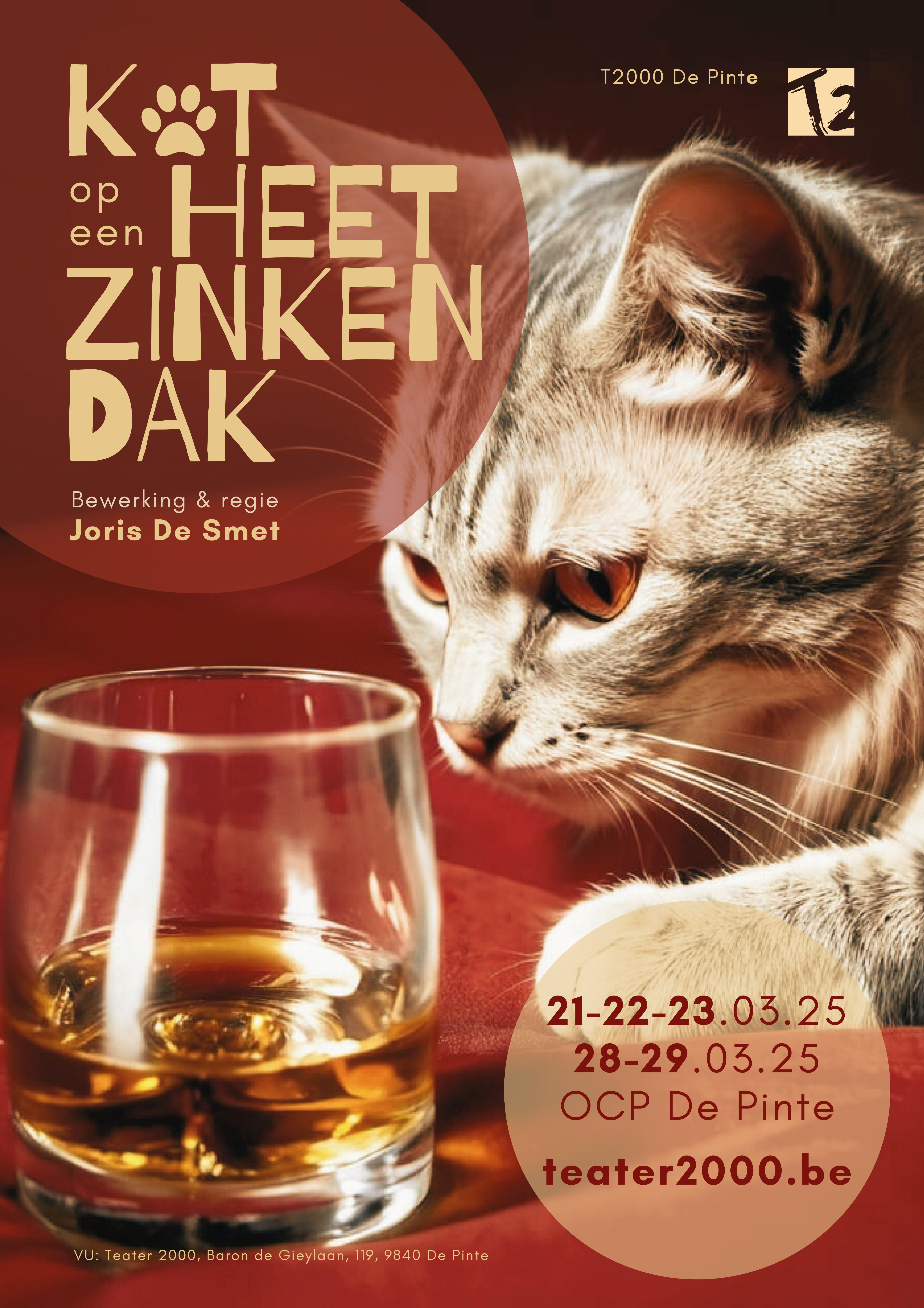 Kat op een heet zinken dak
