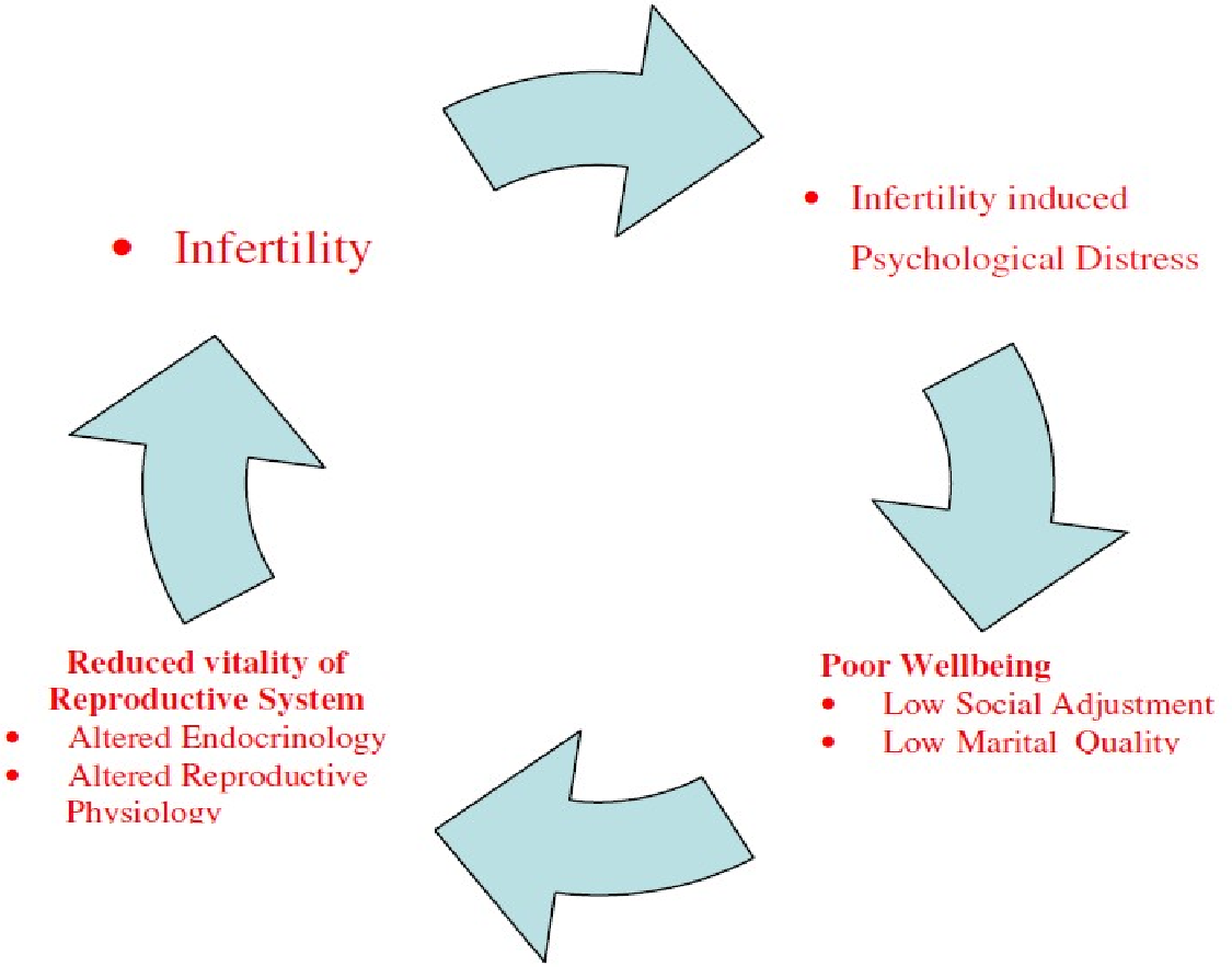 The Vicious Cycle between Psychological Distress and Infertility. Source: Semantic Scholar