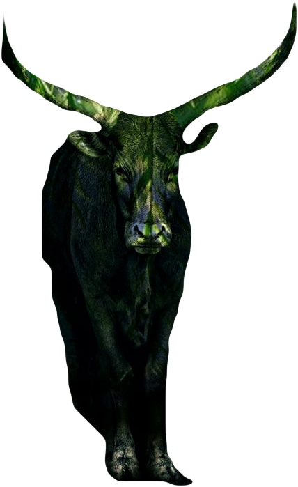 Grace Call Communications presents