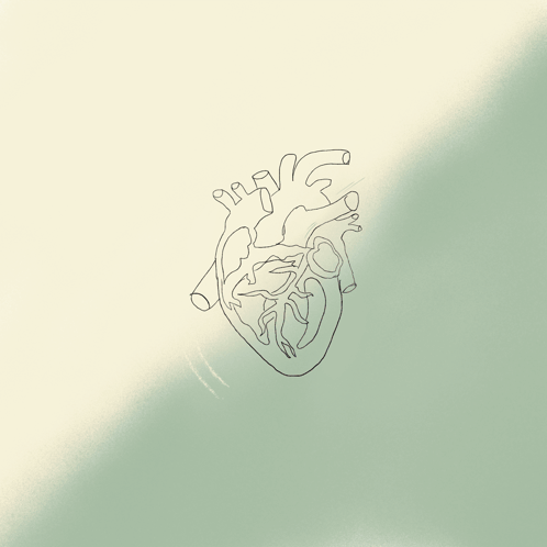 Feeding Your Body During Stressful Seasons: Nutrition, Heart Health, and Whole-Body Support