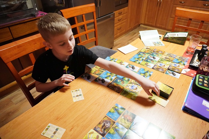 Recenze - Ekosystém