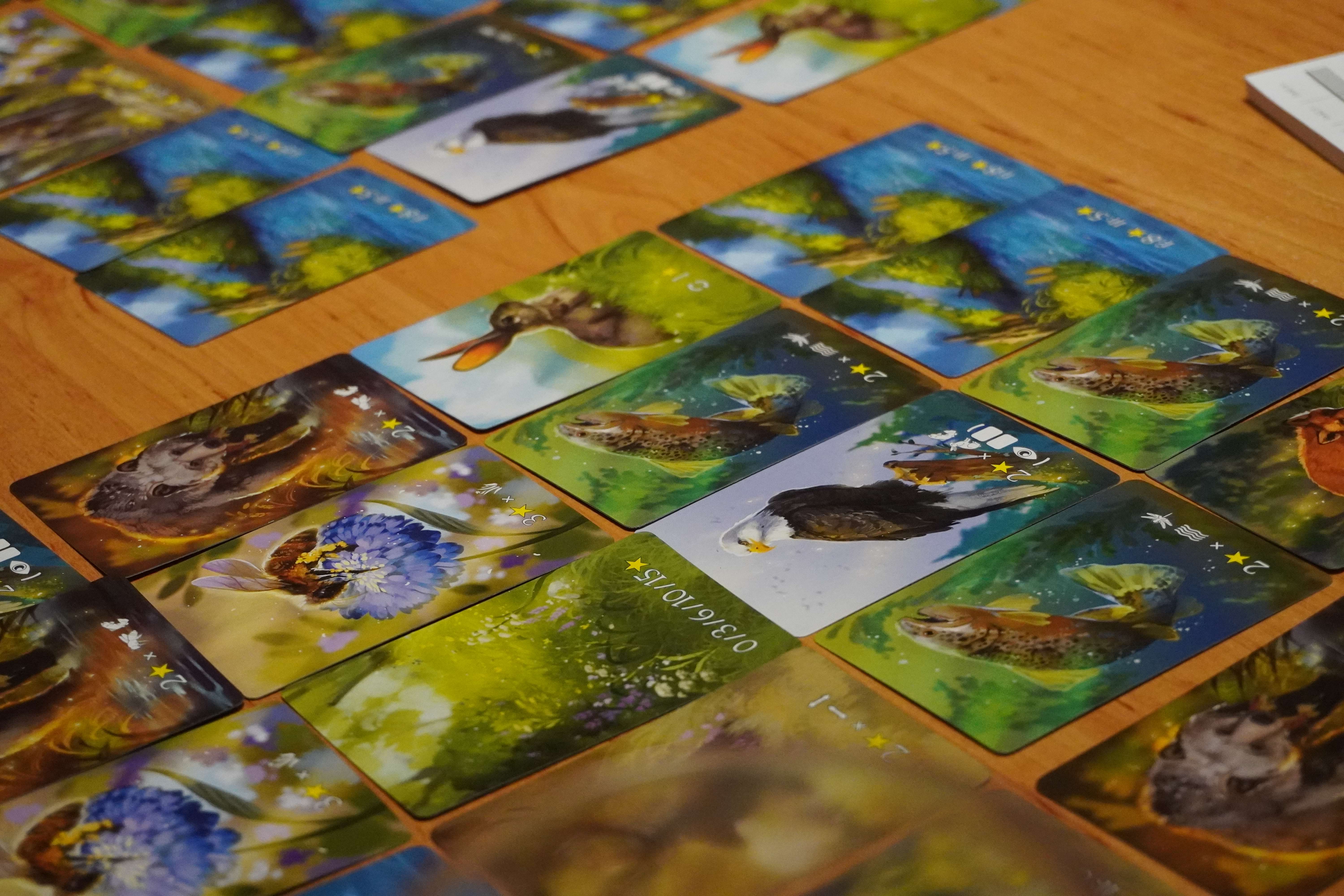 Karty zvířat a krajiny v deskové hře Ekosystém