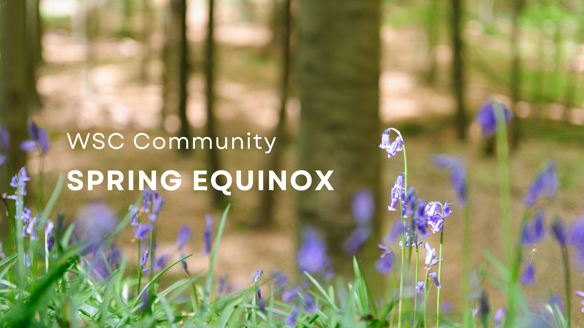 March 21 [members only]