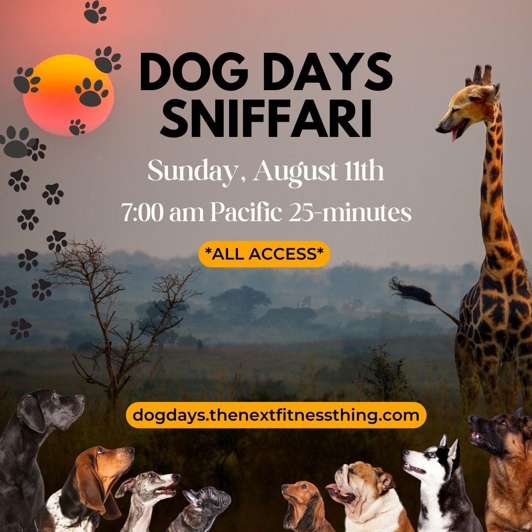 Warm it up Walking Challenge