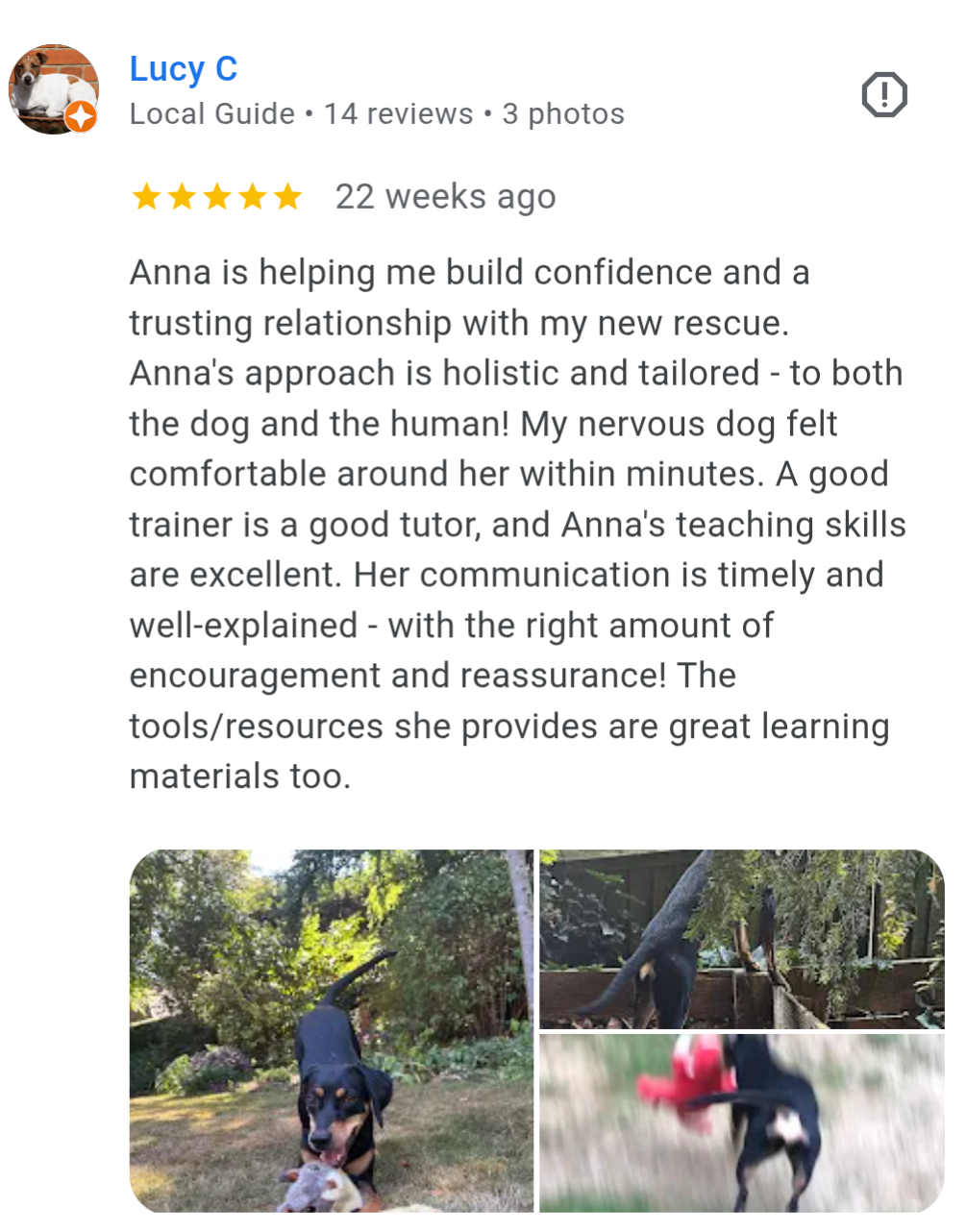 Anna's approach is holistic and tailored to both the dog and the human!