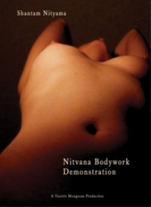 Nitvana Bodywork Film Cover