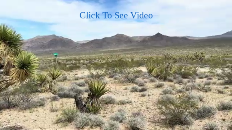 Click to see video