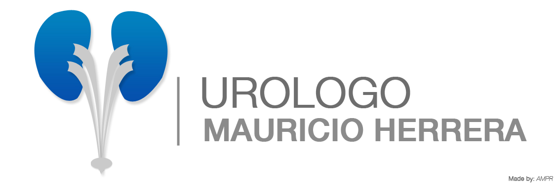 Logo Herrera Mauricio