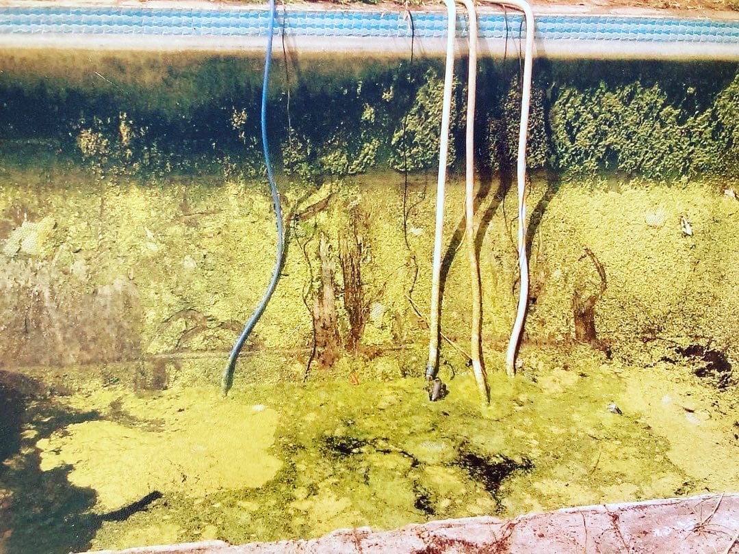 Over the years, the pool is neglected.