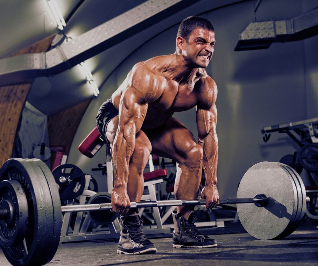 Bodybuilder