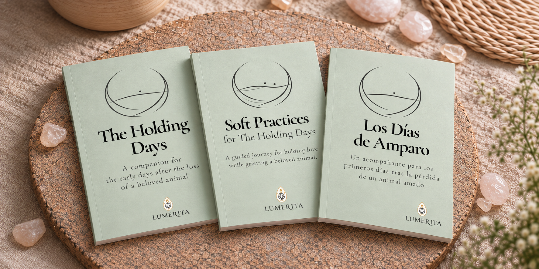 The Holding Days Series of Books