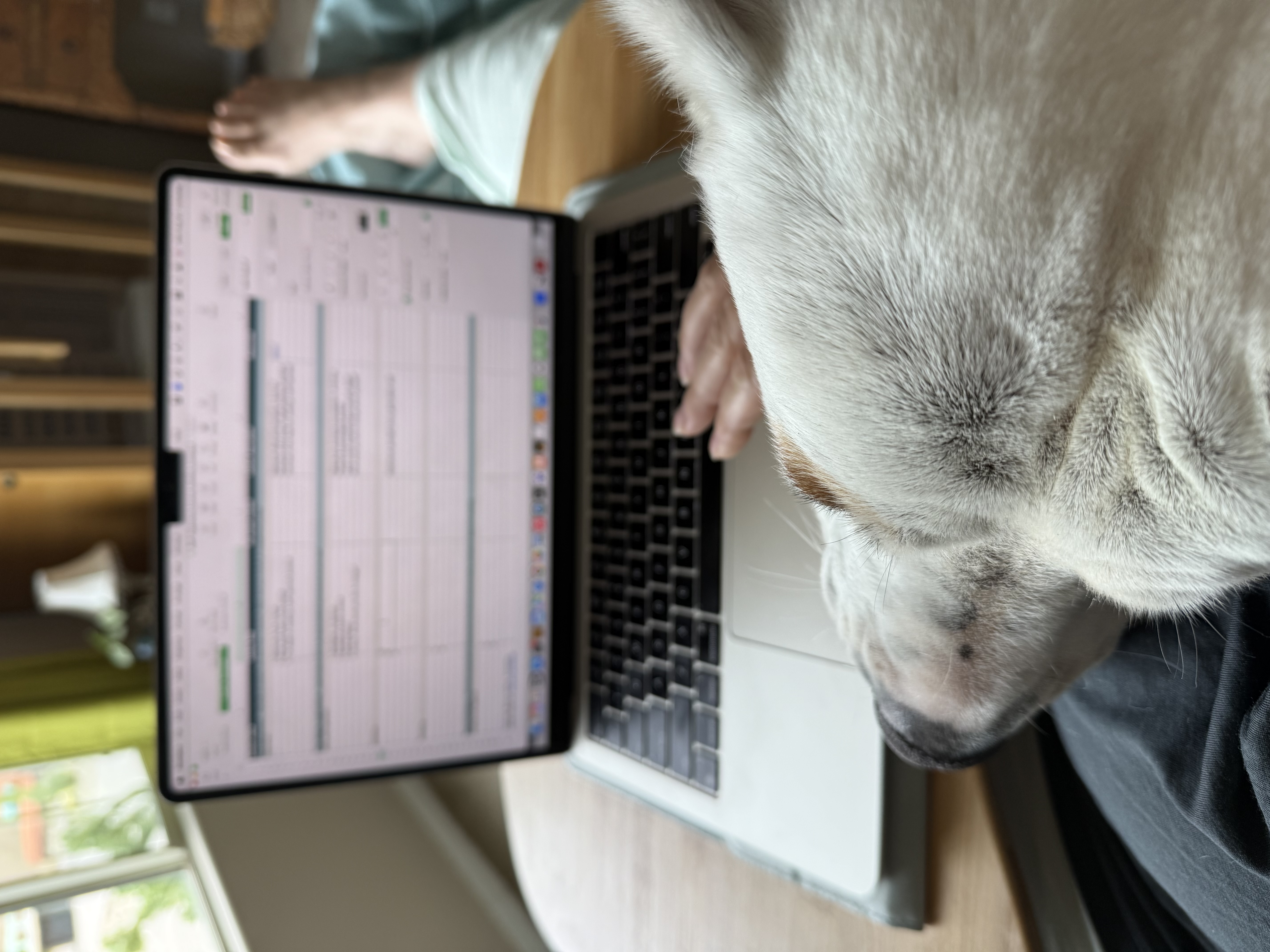 Schedule Regular Work Breaks