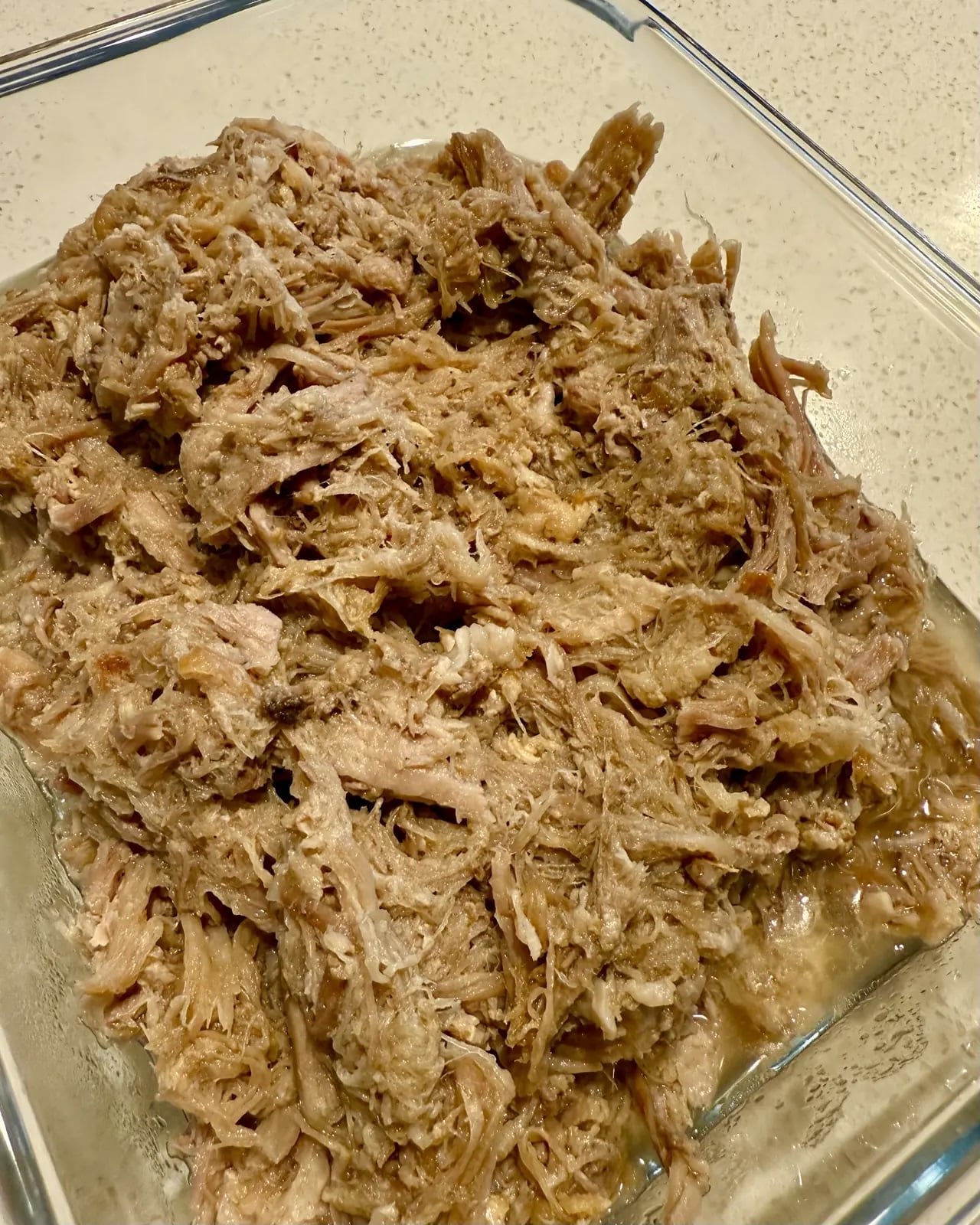 Instant Pot Beef Brisket & Pulled Pork
