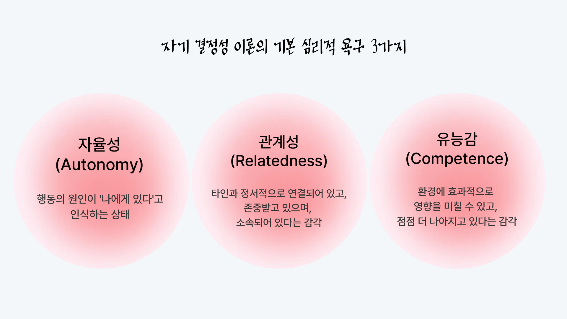 자기 결정성 이론: 열심히 계획 세워도 어느 순간 하기 싫어지는 이유