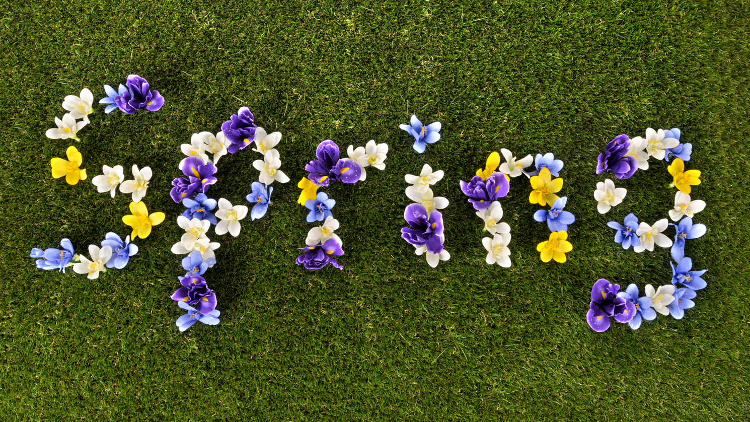 Awaken Your Inner Spring: A Gentle Ayurvedic Cleanse to Release Kapha & Reignite Feminine Vitality