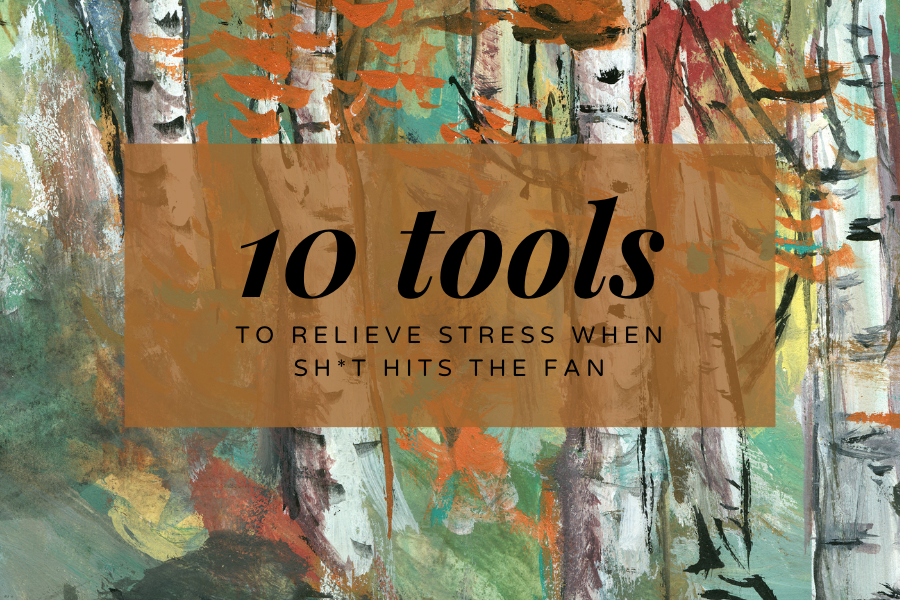10 Tools To Relieve Stress program cover