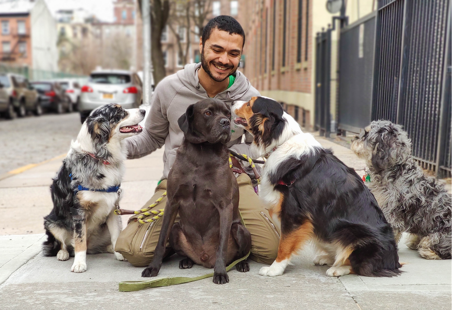 Cesar Vallejo, ABCDT · Woofs & Wags Ithaca