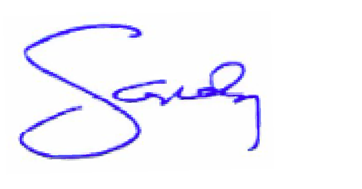 Signature of Sandy Schussel