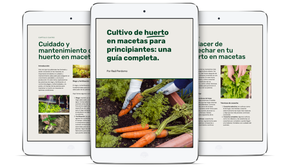 eBook: Cultivo de huerto en macetas para principiantes: una guía completa