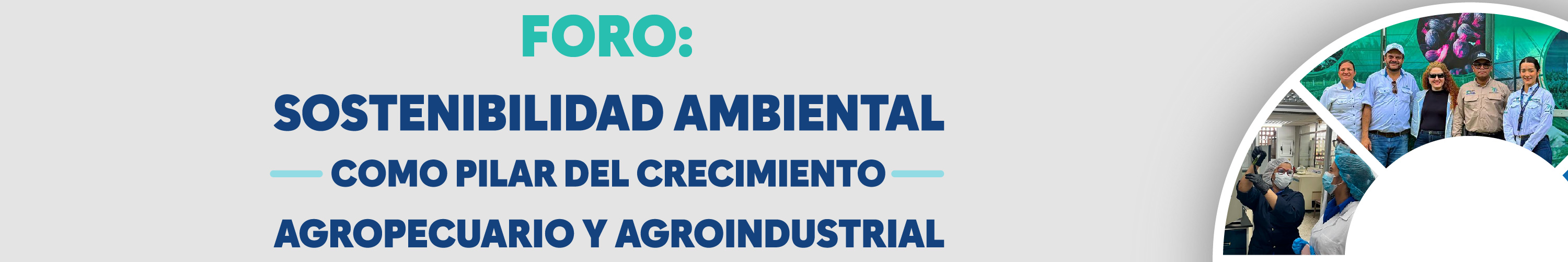 Foro palma