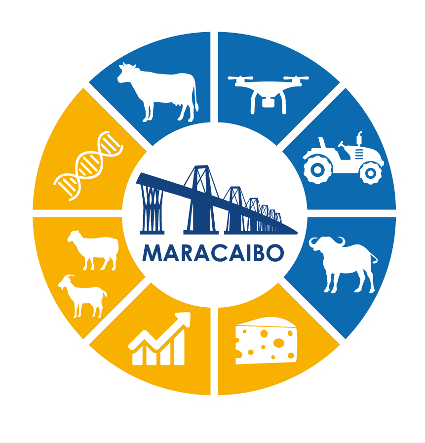 Logo Expo